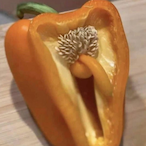 SenPapiCloak's Avatar'