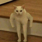 SoloNoob.exe's Avatar'