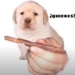 PassTheB00F