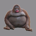 GoonBoy_'s Avatar'