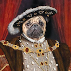 AlexPug017's Avatar'