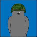Piqeon's Avatar'