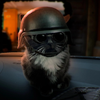 WB-irtem's Avatar'