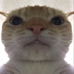 notonemolecule's Avatar'