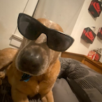 Gased's Avatar'