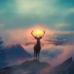 Chilitocabro's Avatar'