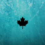 XboxHun5049's Avatar'