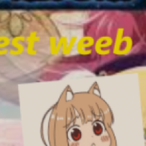 pokimaster1528's Avatar'