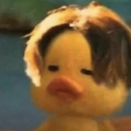 SpearlikeFrog_'s Avatar'