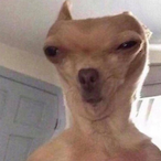 DRpietje_69's Avatar'