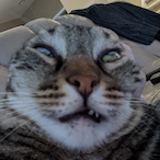 TheRealestMunch's Avatar'