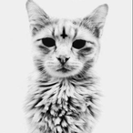 FlankMeHarder's Avatar'