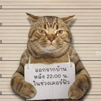 DogPlayMaster's Avatar'