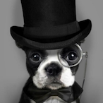 VecnaGT_Turbo's Avatar'