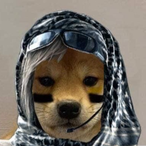 Chef-Benny's Avatar'