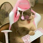 zoeetic's Avatar'