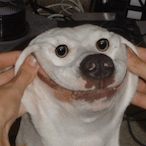 Wakedog.ND's Avatar'