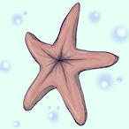Choccy_Starfish's Avatar
