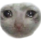 LittleSin's Avatar'