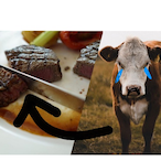 lllzojorlll's Avatar'