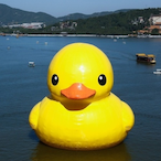 RubnMyDucky's Avatar'