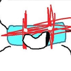 bokWhen's Avatar'