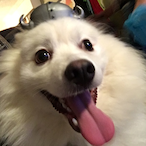 SlashUnstuck's Avatar'