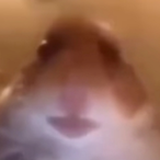 ErCriceto04's Avatar'