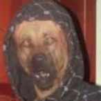 InesLovaXXX's Avatar'