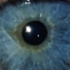 cmii.2's Avatar'