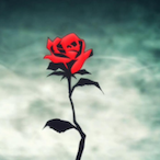 RobbinJ's Avatar'