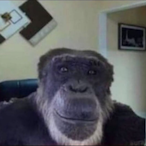 MalutkaYkropec's Avatar'
