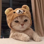 Buling_Buling's Avatar'