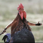 GoldenPotatius's Avatar'