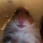 Jozu._'s Avatar'