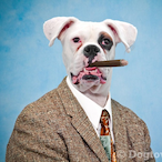 hecknguy's Avatar'
