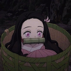 HanimeGhoulReal's Avatar'
