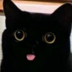 Nyteblade7's Avatar'
