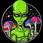 papajce8447's Avatar'