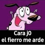 ZcordR11's Avatar'