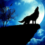 Aynal-Bead.'s Avatar'