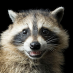 MrPen_Gaming's Avatar'