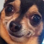 ryanborks's Avatar'