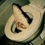 M0ther_CIucker's Avatar'
