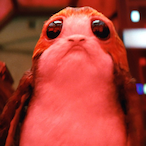 textile-floor55's Avatar'