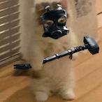 HypedBoolin's Avatar'