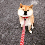 tt kino5155's Avatar'