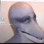 ENVYBLACKOPS's Avatar'