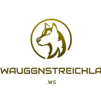 bEuTLiN.WS's Avatar'
