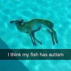 Cavs_stank_puss's Avatar'